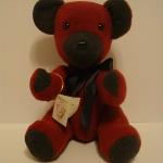 Red Fleece Jacket Bear